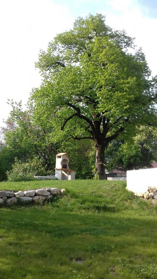 Résidence du Château Copponex Exterior foto